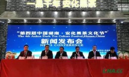 安化新闻媒体爆料事件,真相背后引关注